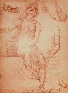 Studie av en naken figur og menneskelige lemmer, tegning av Andrea del Sarto. Cabinet of Drawings and Prints, Uffizi Gallery, Firenze